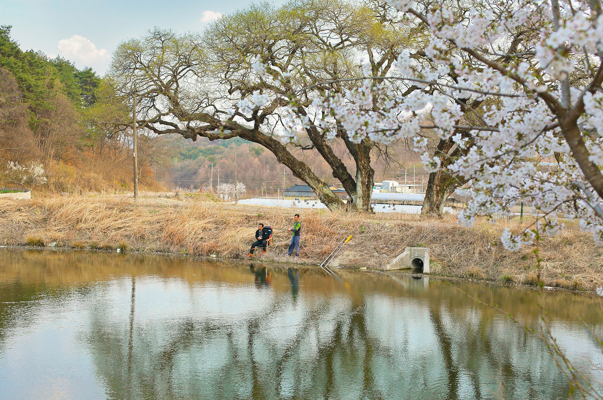 성주 새양골펜션